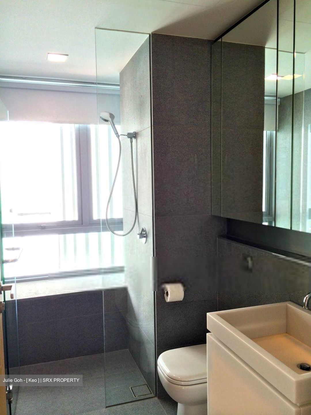Gilstead Two (D11), Apartment #420845071